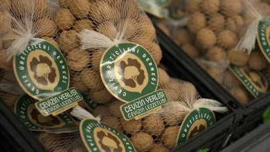 a101 yerli cevizi ureticisinden tuketiciye tasiyacak 3cf551c91e7a |