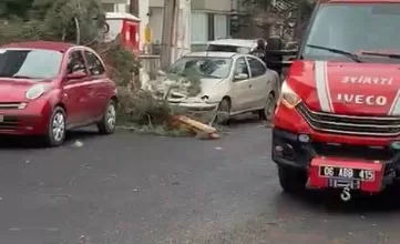 beypazarinda firtina agaclari devirdi 5fa37d01defd |