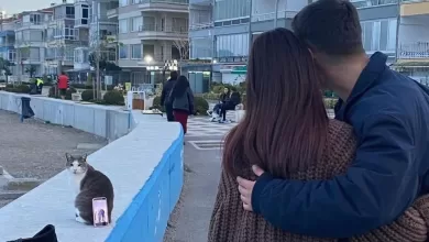 bursa sahilinde ilginc fotograf cozumu tripod yerine kedi kullandilar 2701527bcdc3 e1769519386615 |