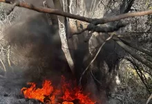 bursada cikan cali yangini buyumeden sonduruldu 0b79b3a39bb8 |