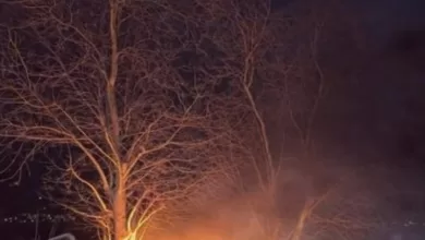 bursada kontrolden cikan otomobil once agaca carpti sonra alev aldi 28abc80023e6 |