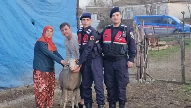 canakkalede kaybolan 24 kucukbas hayvan jandarma tarafindan bulundu 78f87e826a43 |