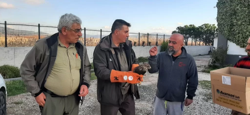 canakkalede yarali sahin koruma altina alindi 324ce34fedd5 |