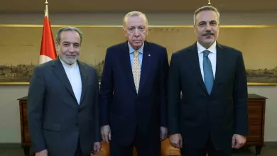 cumhurbaskani erdogan iran disisleri bakani arakciyi kabul etti 7ebdf522553f |