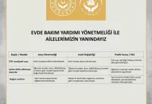 evde bakim yardimi yonetmeliginde degisiklik yapildi e754fe37fba4 |