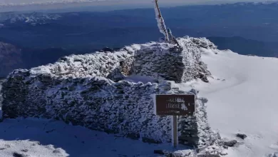 harikalar diyari kazdaglari beyaz ortusu ile bir baska guzel 5caaa0db4a7f |