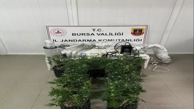 inegolde uyusturucu operasyonu evde esrar uretim duzenegi ele gecirildi 047ac09e56bc |