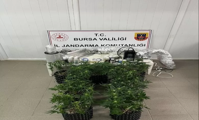 inegolde uyusturucu operasyonu evde esrar uretim duzenegi ele gecirildi 047ac09e56bc |