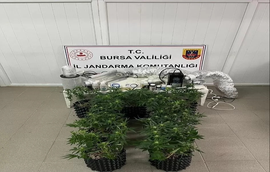 inegolde uyusturucu operasyonu evde esrar uretim duzenegi ele gecirildi 047ac09e56bc |