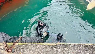 izmir itfaiyesi iskele altinda sikisan kediyi kurtardi 46393f3b16dc |