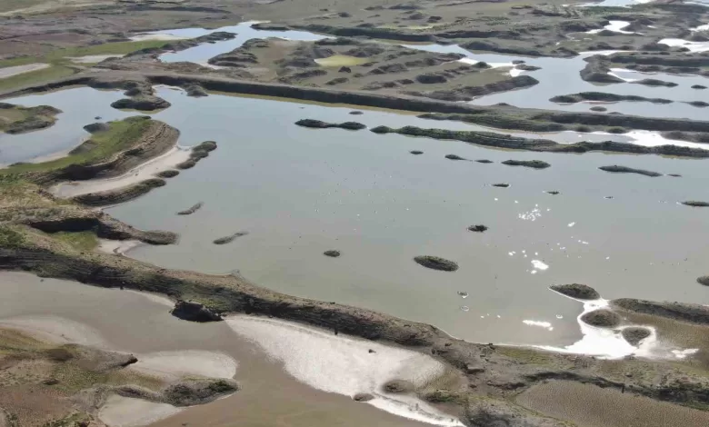 İzmir’de yağışlar barajlara nefes aldırdı 1 izmirde yagislar barajlara nefes aldirdi 2afadb3b5467 |