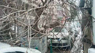 kamyon carpti cinar agaci araclarin uzerine devrildi 3f5416535f0e |