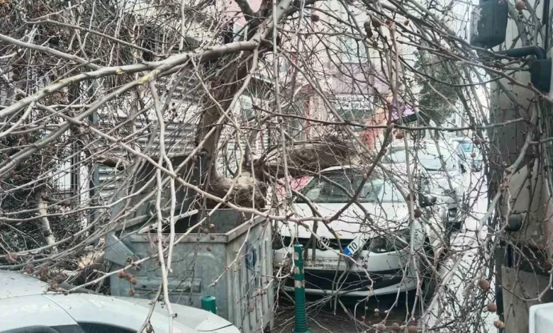 kamyon carpti cinar agaci araclarin uzerine devrildi 3f5416535f0e |