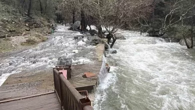 kazdaglarinda ani kar erimesi ve saganak yagis nedeniyle dereler yataklarina sigmiyor f5801781e66d |