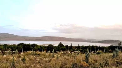 kutlu aktas barajinda sevindirici yukselis su seviyesi yuzde 001den yuzde 1550ye cikti 026fb7cee2c0 |