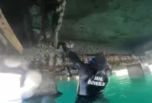 mahsur kalan kedi icin sahil guvenlik seferber oldu e5d82b4f0d38 |