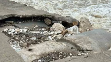 mesire alanindaki hasarli kopru tehlike saciyor 8d43a68999c7 |