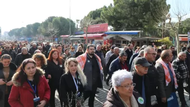 photo 2026 01 16 16 34 52 |