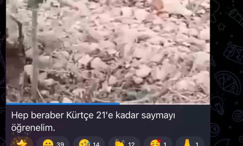 sdgli teroristlerin oldurdukleri sivilleri saydigi ortaya cikti 5529bb776b1f |