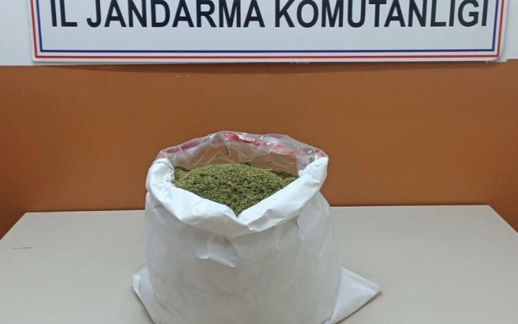 Bingöl’de uyuşturucu operasyonuna 3 tutuklama 1 601r2T3kUG2Gr5 |