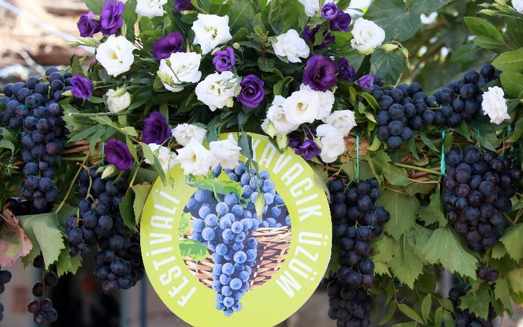 İzmir Karabağlar 'Kavacık Üzüm Festivali'ne hazırlanıyor 1 6r21TrGG14k34U |