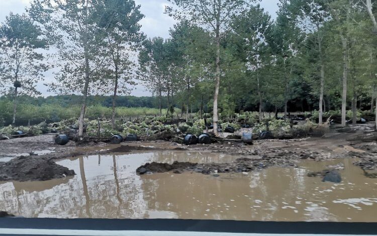 Kırklareli'de sel 2 can aldı 1 80G5kU9Grr1T18 |