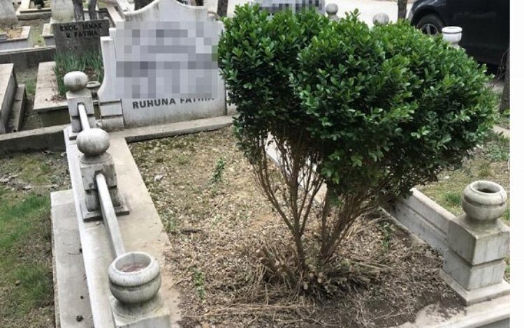 Asri Mezarlık'ta garip hırsızlık olayı 1 Grk01r922U9TG9 |