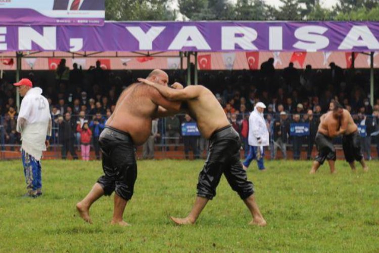 Grr0UT33258kG8 |