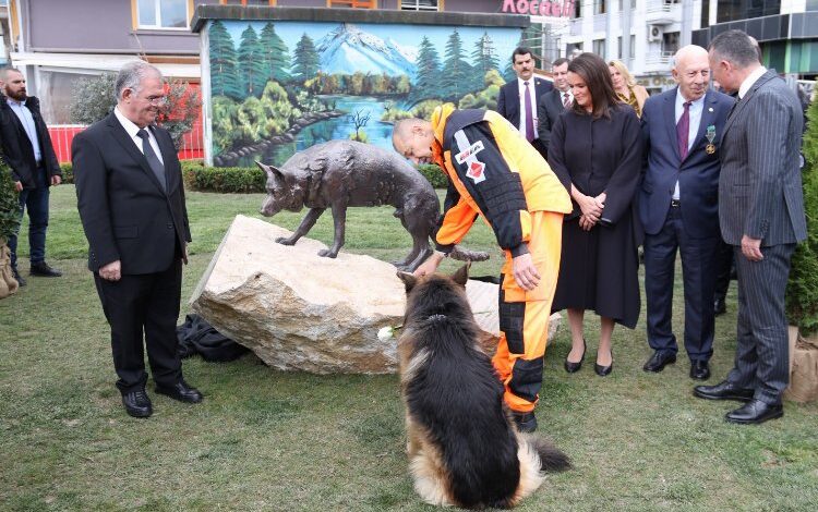 Kahraman köpek Mancs’in anısı İzmit'te yaşatılacak 1 T0U315rGk7G7r0 |