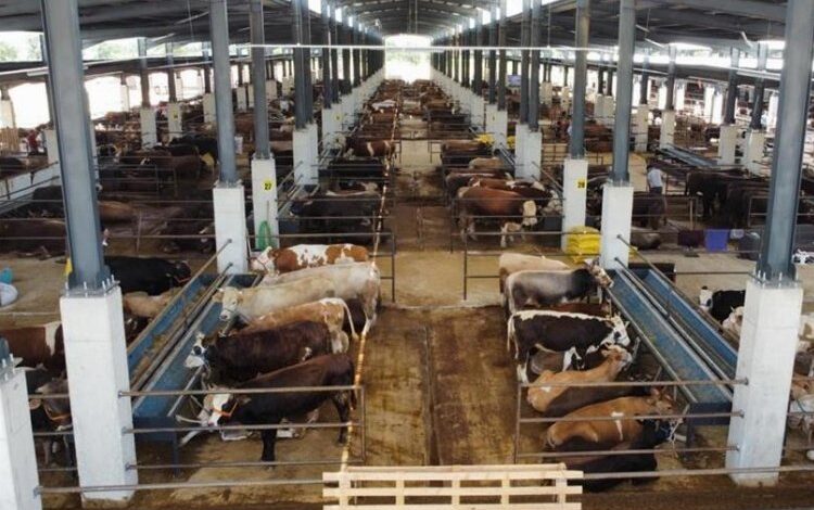 İnegöl Hayvan Pazarı Kotra ihale tarihi açıklandı 1 TG8769k2GU4r3r |